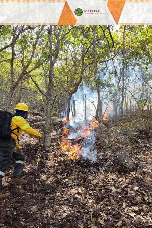 Combate de incendios forestales