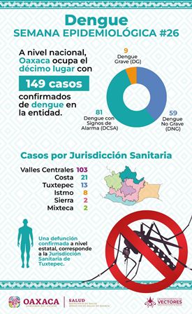 Evitan acciones de patio limpio la propagación del dengue: SSO