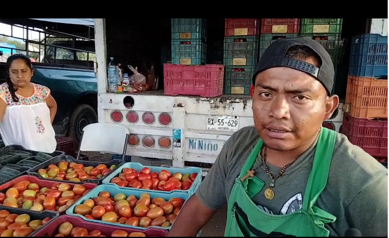 Precios bajos garantizan productores agrícolas de Oaxaca  