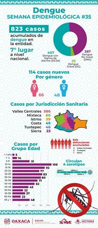 Suman 832 casos de dengue confirmados en Oaxaca; Aumentan a seis las defunciones: SSO