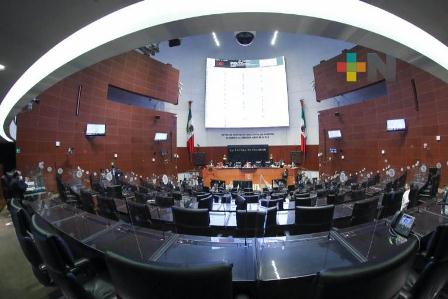 Impulsan en el Senado Centros Comunitarios de Salud Mental