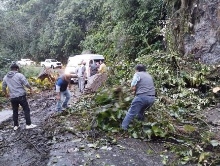 Activa Protección Civil protocolo ante derrumbe en Carretera de Valle Nacional, Oaxaca