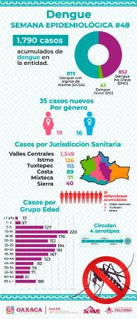 Fundamental seguir con las medidas preventivas contra el dengue: SSO