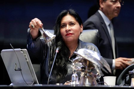 Labor legislativa del Senado ha cambiado modelo económico y social del país: Rivera Rivera