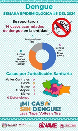 Reporta Servicios de Salud de Oaxaca 13 municipios con casos de dengue