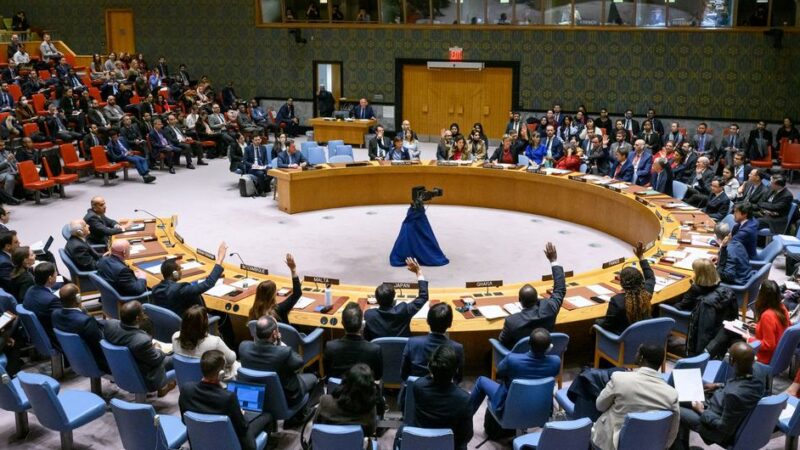 El Consejo de Seguridad de la ONU exige que se permita la entrega inmediata y segura de ayuda humanitaria a gran escala en Gaza