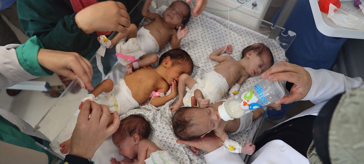 Crisis de Gaza: los bebés nacen “en el infierno” en medio de una desesperada escasez de ayuda