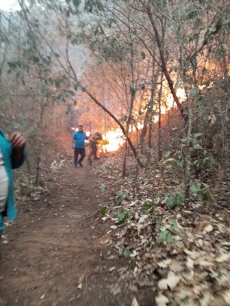 Combaten incendio en zona limítrofe de Santa Ana Tlapacoyan y San Miguel Mixtepec: Coesfo