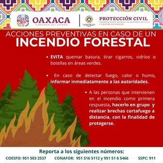 Emite Protección Civil de Oaxaca recomendaciones ante incendios forestales