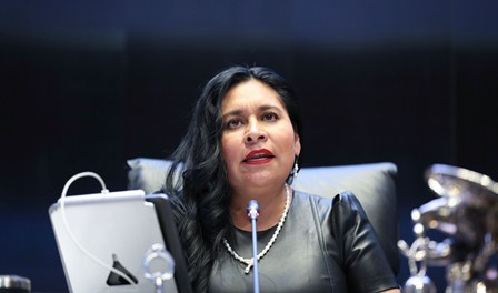 Trabaja Poder Legislativo para reivindicar derechos de los mexicanos, destaca presidenta del Senado