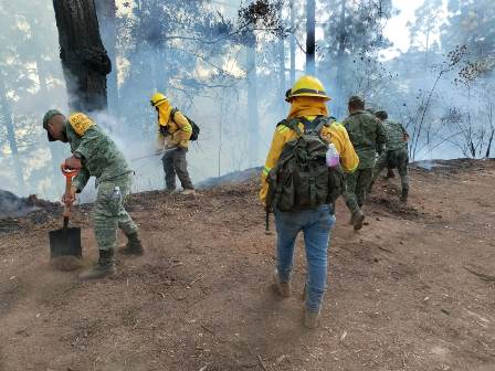 Atienden dependencias estatales y federales 14 incendios activos en Oaxaca