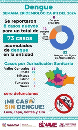 Participación social, fundamental en la lucha contra el dengue: Servicios de Salud de Oaxaca