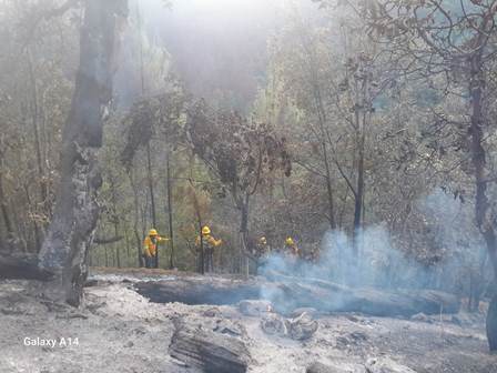 Controlados incendios forestales en localidades de San Martín Peras: Coesfo