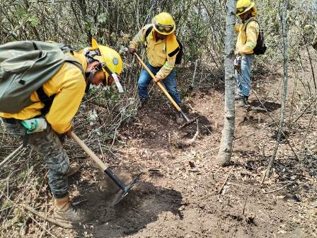 Controlado incendio forestal en Putla; Atienden otro en Quiaviní, Oaxaca