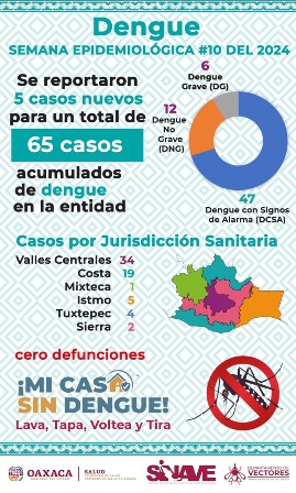 Tapar depósitos de agua, fundamental para evitar el dengue: Servicios de Salud de Oaxaca