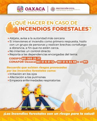 Atienden incendio forestal en Santiago Xiacuí, Oaxaca: Coesfo