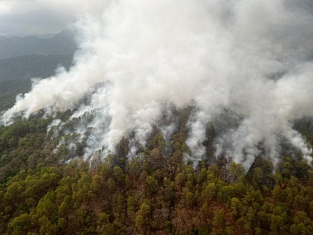 Autoriza Gobierno de México ayuda extraordinaria ante incendios forestales en los Chimalapas