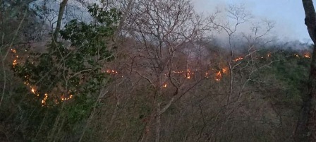 Atienden incendio forestal intermunicipal en Santa María Huatulco y San Miguel del Puerto