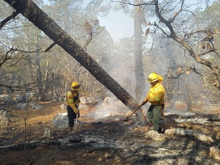 Controlado incendio forestal en San Juan Tamazola y Yutanduchi de Guerrero: Coesfo