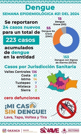 Casos de dengue