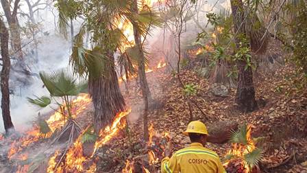 A salvo seis personas extraviadas en incendio forestal en Albarradas, Mitla