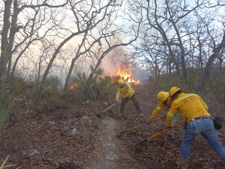 Avance del 95% y 80% en labores de combate y liquidación de incendio forestal en Telixtlahuaca
