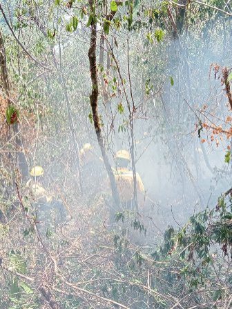 Incendio forestal