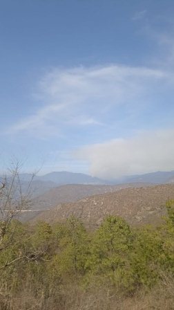 Atienden a dos personas por quemadura en incendio forestal de la Sierra de Juárez