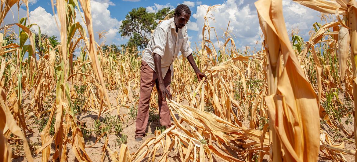 El 80% de la población mundial desea que los gobiernos adopten medidas más enérgicas contra el cambio climático