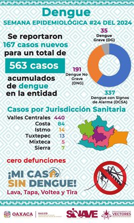 Registra Oaxaca 167 casos nuevos de dengue; Suman 563 acumulados en la semana epidemiológica 24