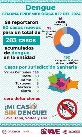 Prevenir aumento de casos de dengue es tarea de todas y todos; Cero defunciones de Oaxaca