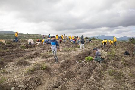 Plantan nueve mil árboles del programa Reforesta Oaxaca en Villa de Tamazulápam del Progreso