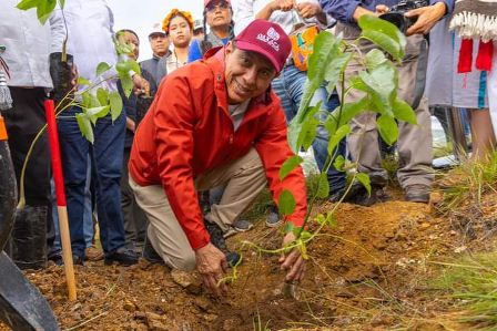 Arranca Mega Tequio de Reforestación en el Polígono de Monte Albán