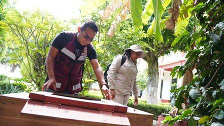 Confirman tres decesos y descartan 15 defunciones por dengue en Oaxaca: SSO