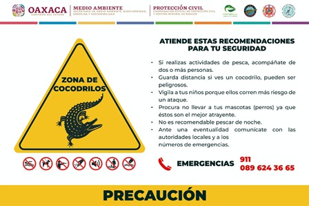 Emiten recomendaciones ante presencia de cocodrilos en playas de la Costa de Oaxaca