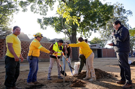 Con Mega Tequio reforestan el Parque Primavera Oaxaqueña previo a su inauguración