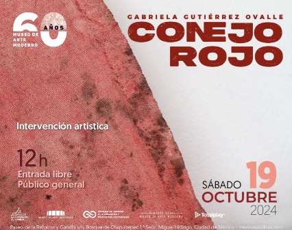 Con la intervención Conejo rojo en el Museo de Arte Moderno, Gabriela Gutiérrez Ovalle modifica la percepción del espacio