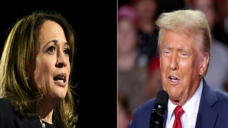 Gane Kamala o Trump, México en riesgo