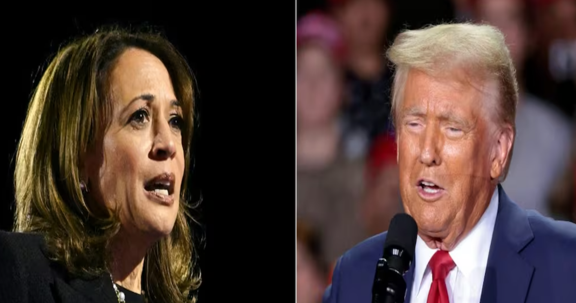 Gane Kamala o Trump, México en riesgo