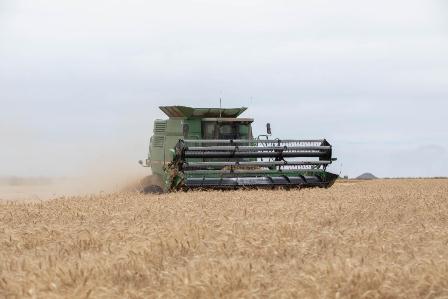 Supera Grupo Bimbo metas de Agricultura Regenerativa; Alcanza récord de 170,000 hectáreas