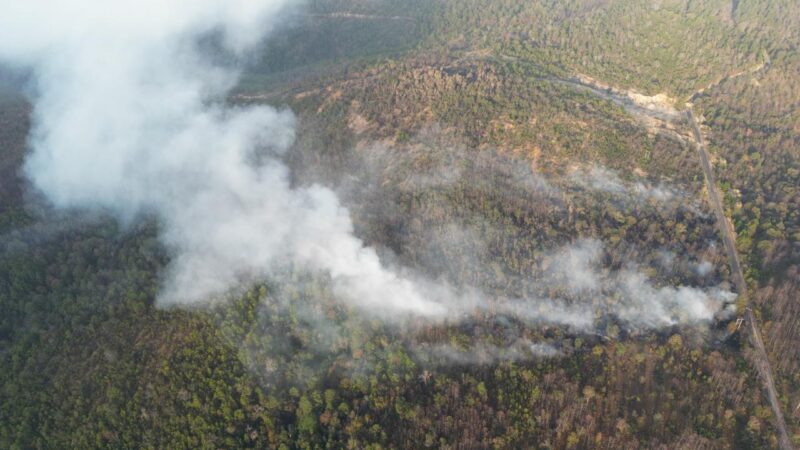 Liquidan incendio forestal en San Juan Mixtepec