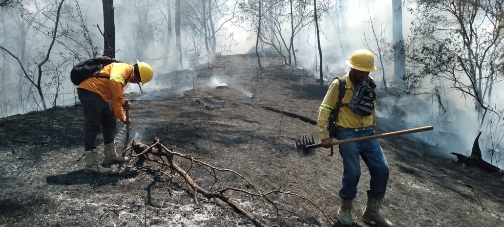 Controlado en 90 por ciento incendio forestal en San Agustín Loxicha, Oaxaca