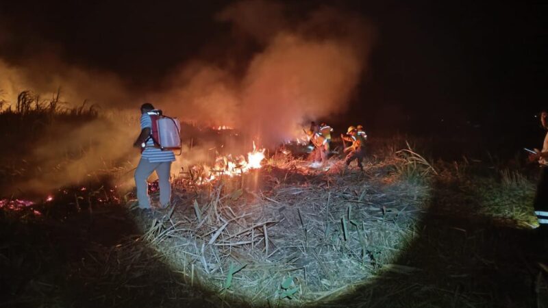 Incendios forestales