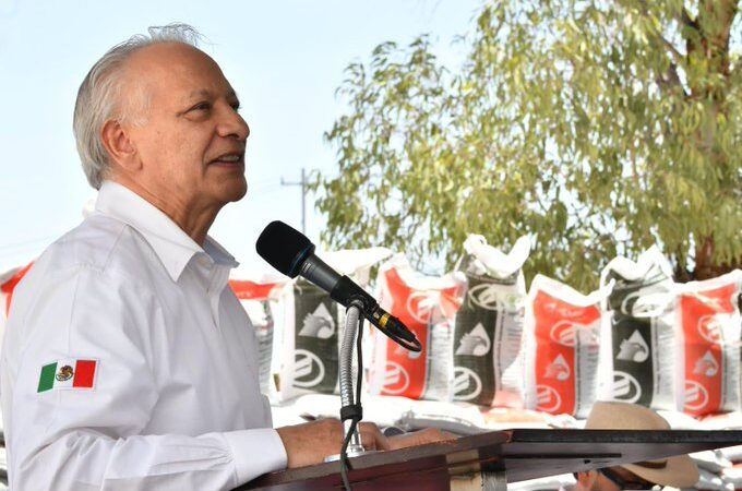 Víctor Rodríguez Padilla