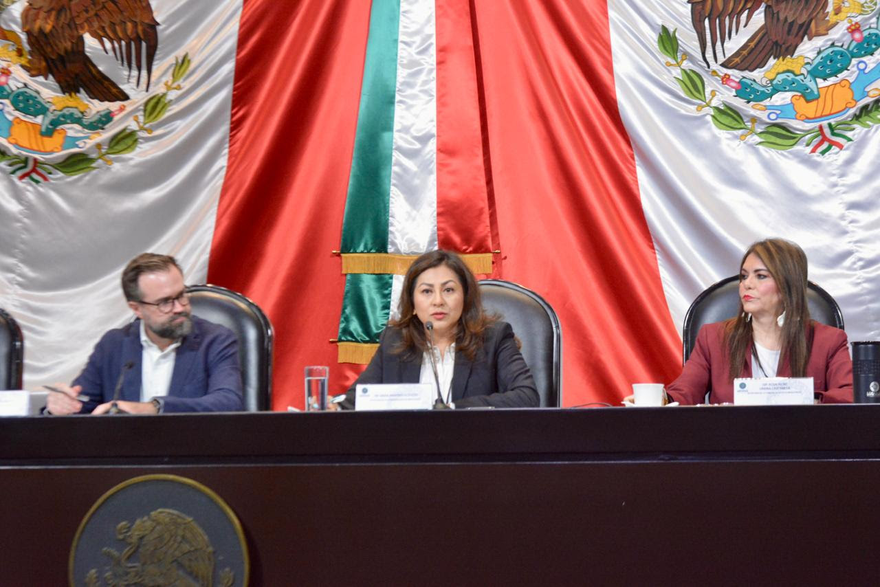 Proponen Cédula para migrantes que pisen territorio mexicano