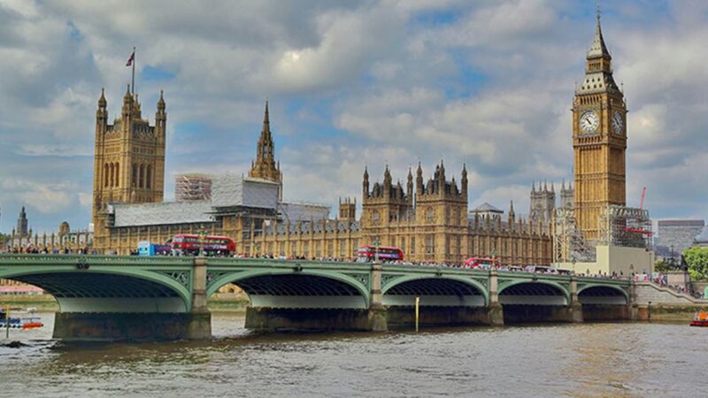 La prohibición de Acción Palestina en el Reino Unido confunde la libertad de expresión con actos de terrorismo:  Alto Comisionado para los Derechos Humanos de la ONU