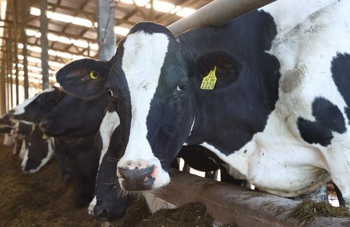 Cae valor de exportaciones