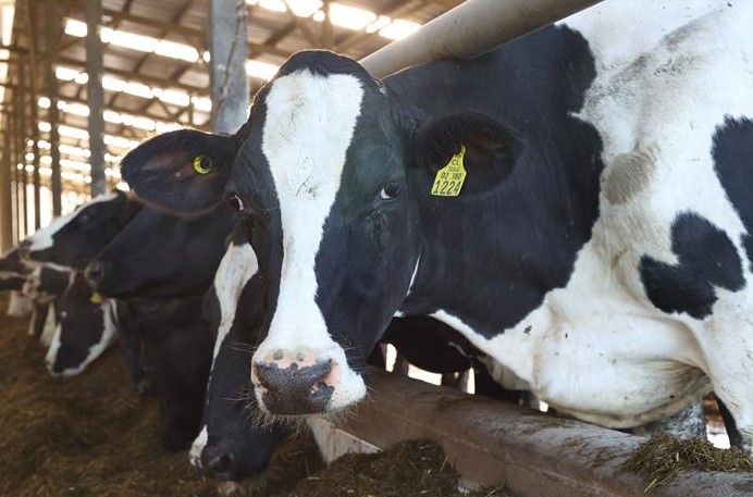 Cae valor de exportaciones agroalimentarias màs de mil millones de dólares al primer semestre