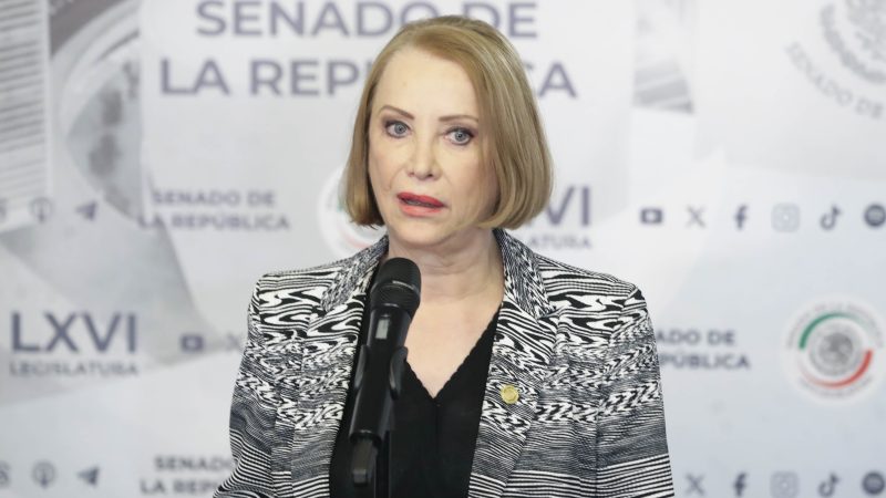 Laura Itzel Castillo Juárez