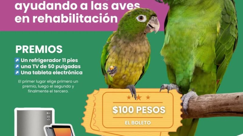 Rifa de mitad de año